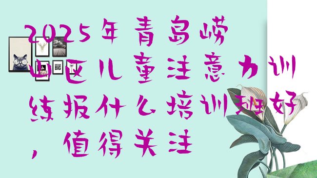 十大2025年青岛崂山区儿童注意力训练报什么培训班好，值得关注排行榜