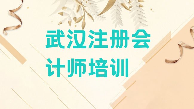 十大2025年武汉黄陂区注册会计师培训班有用吗，值得关注排行榜