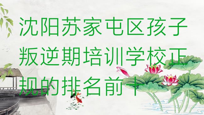 十大沈阳苏家屯区孩子叛逆期培训学校正规的排名前十排行榜