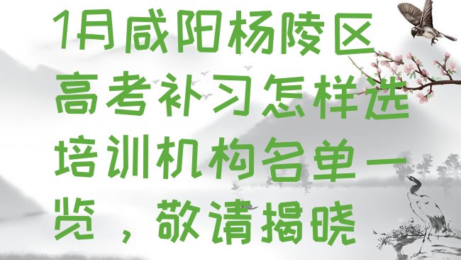 十大1月咸阳杨陵区高考补习怎样选培训机构名单一览，敬请揭晓排行榜