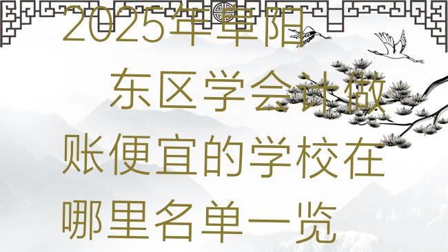 十大2025年阜阳颍东区学会计做账便宜的学校在哪里名单一览排行榜