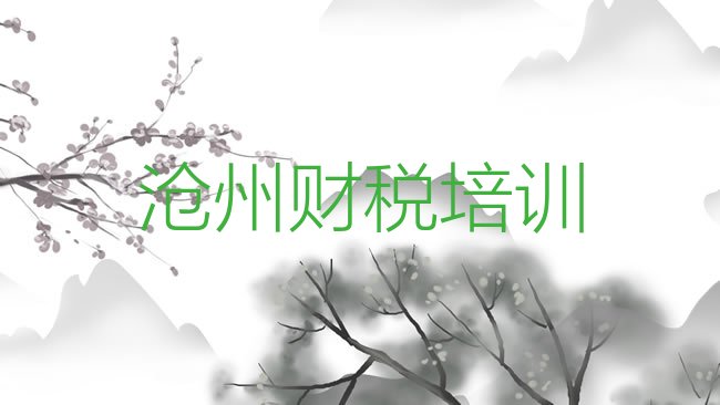 十大2025年沧州新华区国内知名财税培训学校排行榜