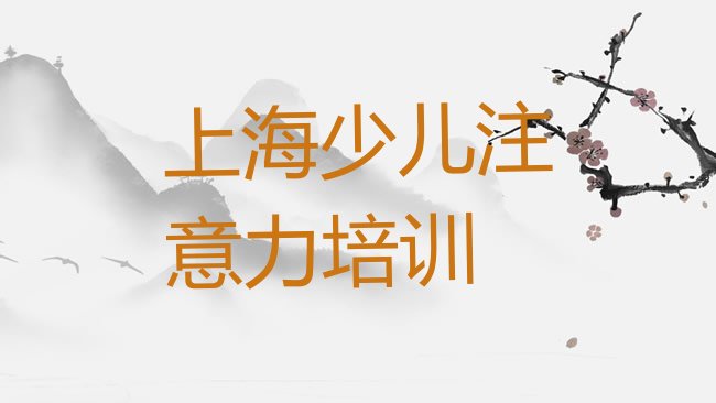 十大2025年上海嘉定区少儿注意力训练培训学校一般多少钱一排行榜