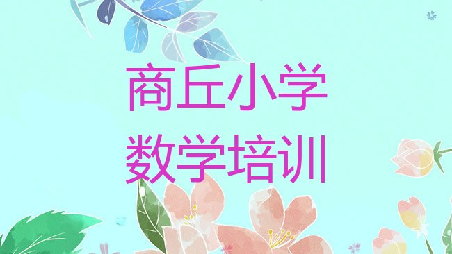 十大商丘睢阳区小学数学什么小学数学培训班比较好排行榜