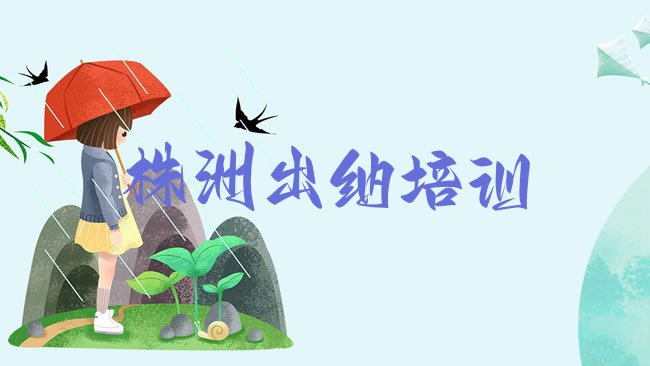 十大株洲芦淞区学出纳在什么地方学好排行榜