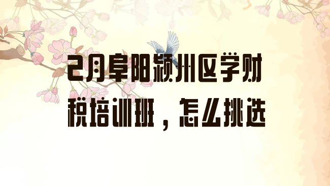 十大2月阜阳颍州区学财税培训班，怎么挑选排行榜