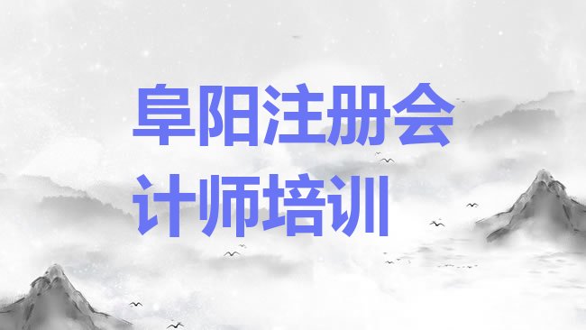 十大阜阳颍州区学注册会计师速成班排行榜