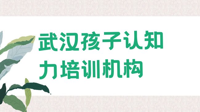 十大武汉四新街道孩子认知力比较不错的培训机构排行榜