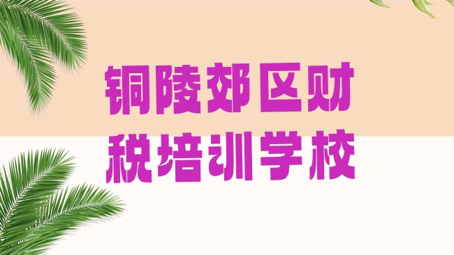 十大铜陵郊区学财税在什么地方学好排名top10排行榜