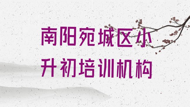 十大2025年南阳宛城区小升初培训班师资力量雄厚排行榜