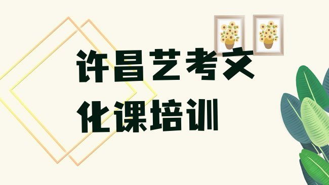 十大1月许昌魏都区学艺考文化课便宜的学校在哪里十大排名排行榜