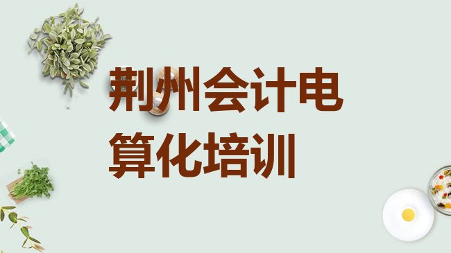 十大2025年荆州荆州区培训会计电算化要多少学费呢，怎么挑选排行榜