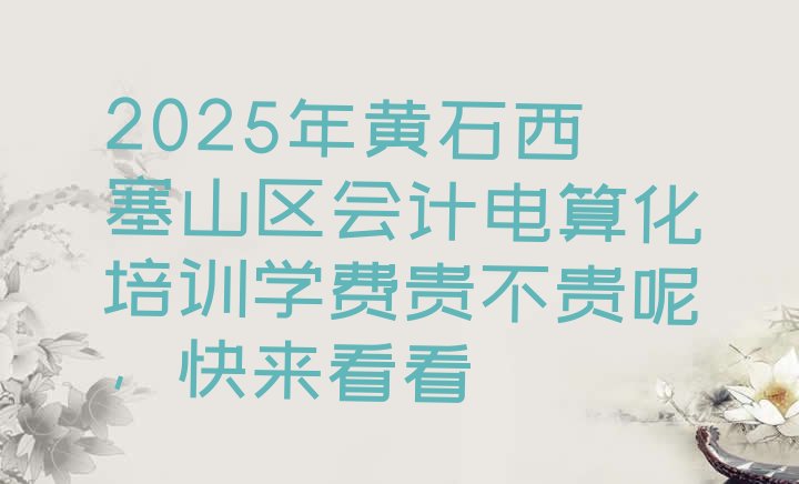 十大2025年黄石西塞山区会计电算化培训学费贵不贵呢，快来看看排行榜