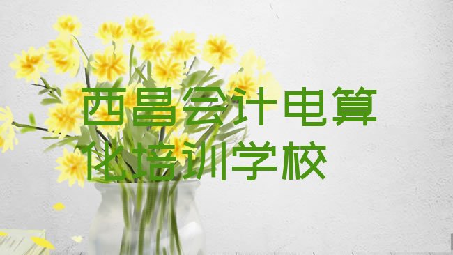 十大2025年西昌会计电算化哪里学的好名单更新汇总，对比分析排行榜